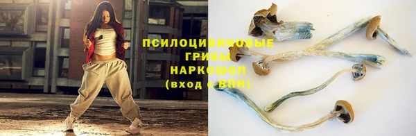 mdpv Нефтегорск