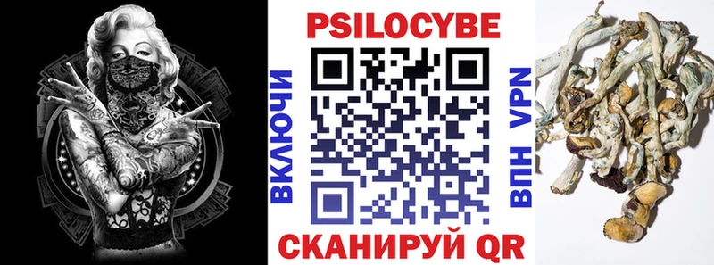 Псилоцибиновые грибы прущие грибы  продажа наркотиков  Новошахтинск 