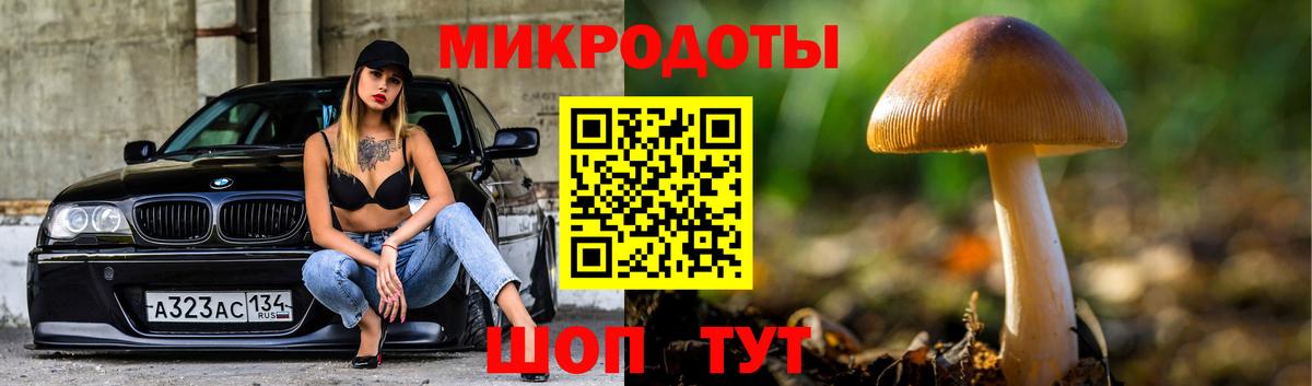 Псилоцибиновые грибы Cubensis Новошахтинск