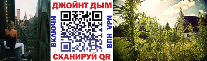 Бошки Шишки AK-47  закладка  Новошахтинск 